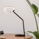 Vine Light Table