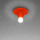 Teti Wall/Ceiling