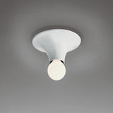 Teti Wall/Ceiling