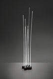 Reeds Outdoor