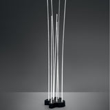 Reeds Outdoor